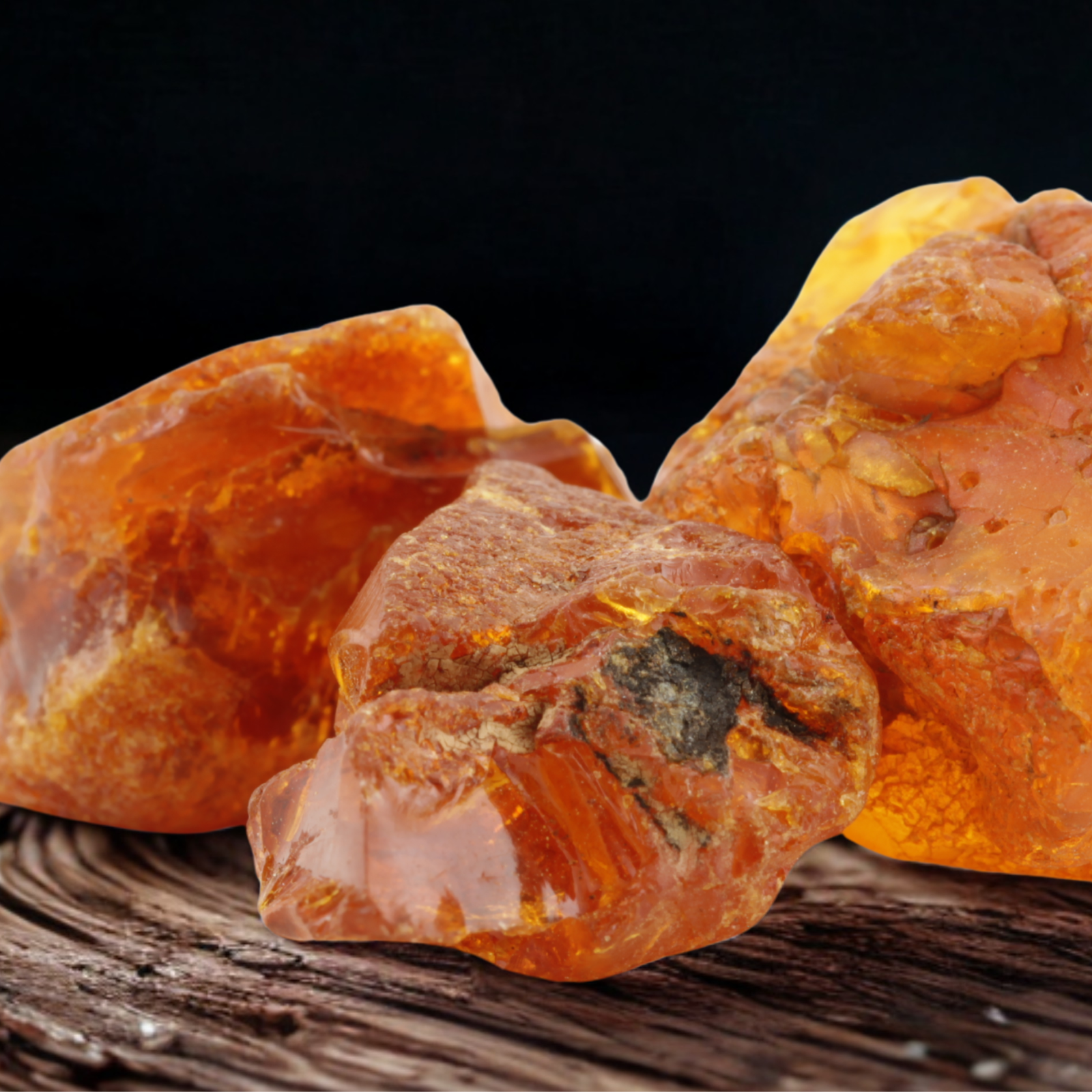 Ambra - Cristiana Bellodi